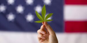 EEUU: Senado estudiará proyecto de ley para legalizar la marihuana