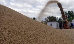 Ucrania y Rusia firmaron acuerdos por separado con ONU y Turquía para reanudar exportación de granos