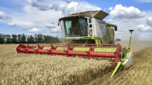 Ucrania informa que comenzará a exportar cereal