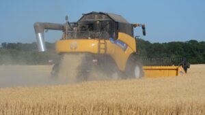 ¿Cómo operará el corredor de granos y cereales entre Rusia y Ucrania?