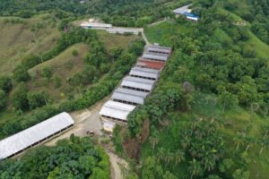 Ministerio de Medio Ambiente presentó informe de impacto ambiental en granja porcina LB de Jamao al Norte  