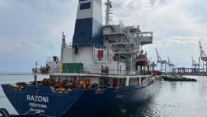 Inspectores autorizan paso por Turquía al primer buque con cereal ucraniano