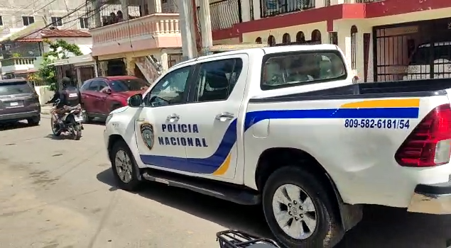 Mediante operativo Policía y Aduanas ocupan 14 pistolas en Santiago