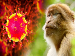 Colombia acumula 55 contagios de la viruela del mono