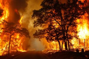 Incendio forestal en Francia deja al menos 8,000 evacuados