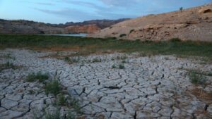 Medidas extremas que adoptan Europa y EEUU para enfrentar la sequía