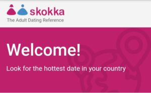 Skokka: la página web 