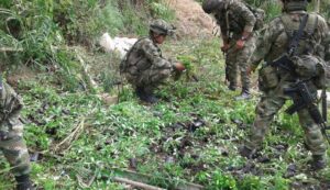 En Georgia Identifican a 2 soldados muertos por caída de árbol