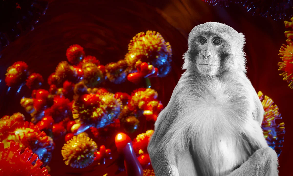 Cómo protegerse de la viruela del mono