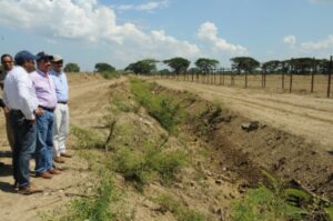Proyecto La Cruz de Manzanillo renace; Agricultura ha sembrado cientos de yuca y maíz