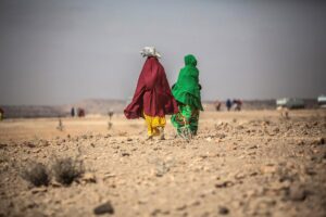 ONU: 730 niños murieron de hambre en Somalia este año y las cifras aumentarán