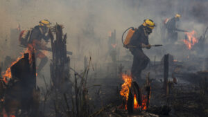 Incendios en la Amazonía brasileña rompen cifra récord en una década