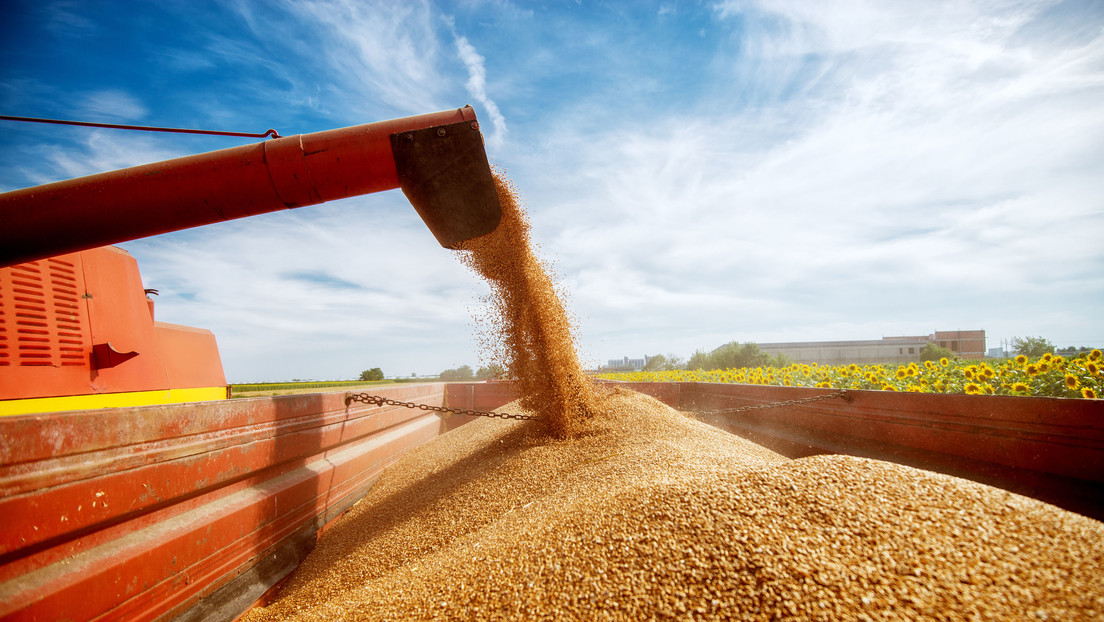 Vladímir Putin afirma Rusia aumentará suministro de cereales
