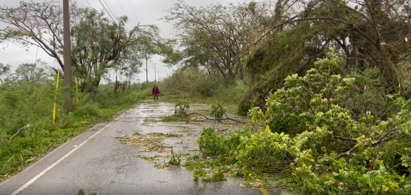 Árboles derribados por vientos de Fiona obstruyen carretera comunica Verón, Punta Cana e Higüey