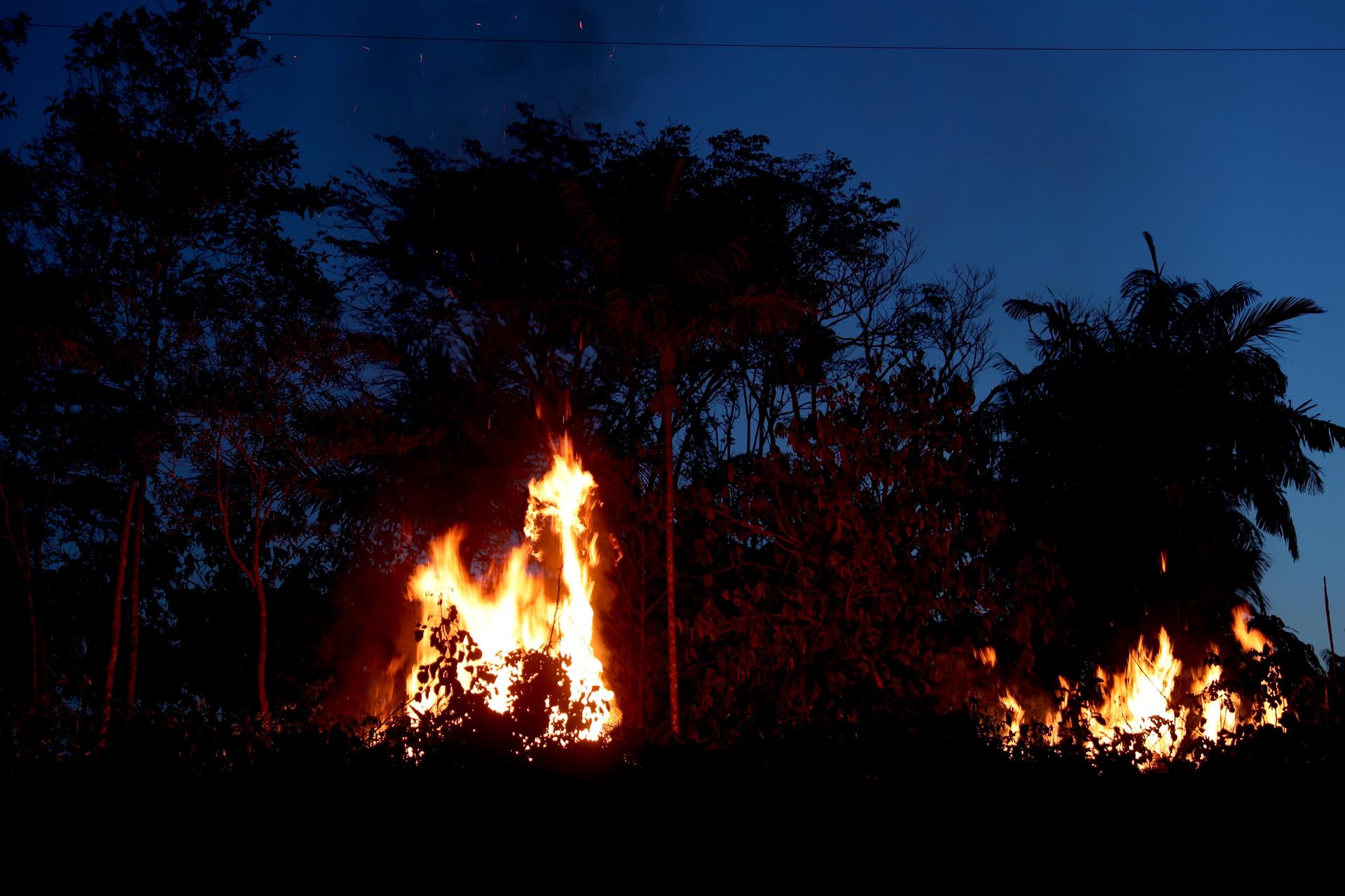 La Amazonia brasileña registra en agosto los mayores incendios en más de una década