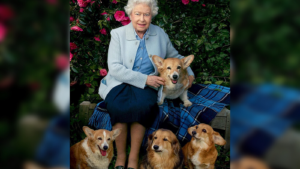 Los perros de la Reina Isabel II: ¿qué pasará con ellos?