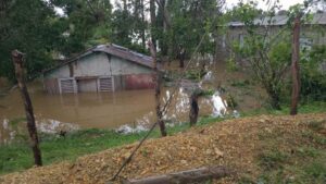 Barrio Los Platanitos de Higüey entre más impactados por huracán Fiona 
