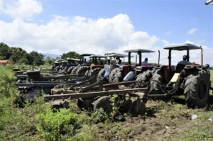Agricultura inicia preparación de tierra para siembra de habichuelas en SJM