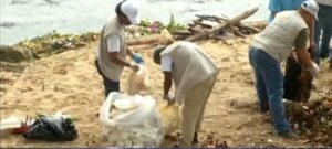 Fundación Bosque Sagrado y Adasec realizan jornada de limpieza playa Guibia  