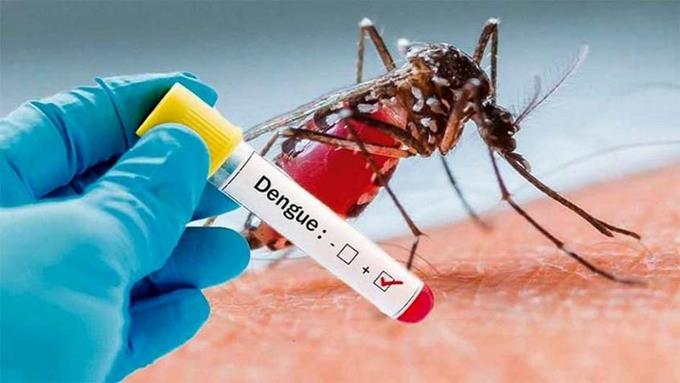 Casi 7 mil casos y 39 defunciones por dengue