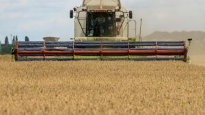 Rusia retoma acuerdo para envío de granos desde Ucrania