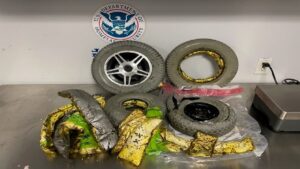 Dominicana detenida en aeropuerto JFK acusada de traficar droga en silla de ruedas