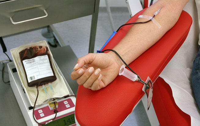 Por primera vez transfunden sangre creada en un laboratorio a personas