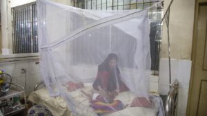 Bangladesh registra récord histórico en un año en muertes por dengue