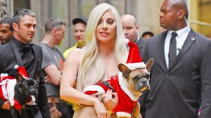 Hombre que robó los perros de Lady Gaga es sentenciado a 21 años de prisión