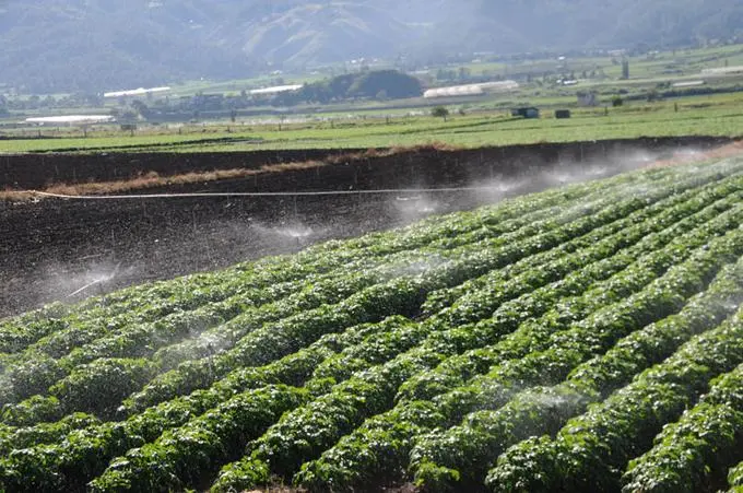 Medio Ambiente concretiza inicio de pago para productores Valle Nuevo