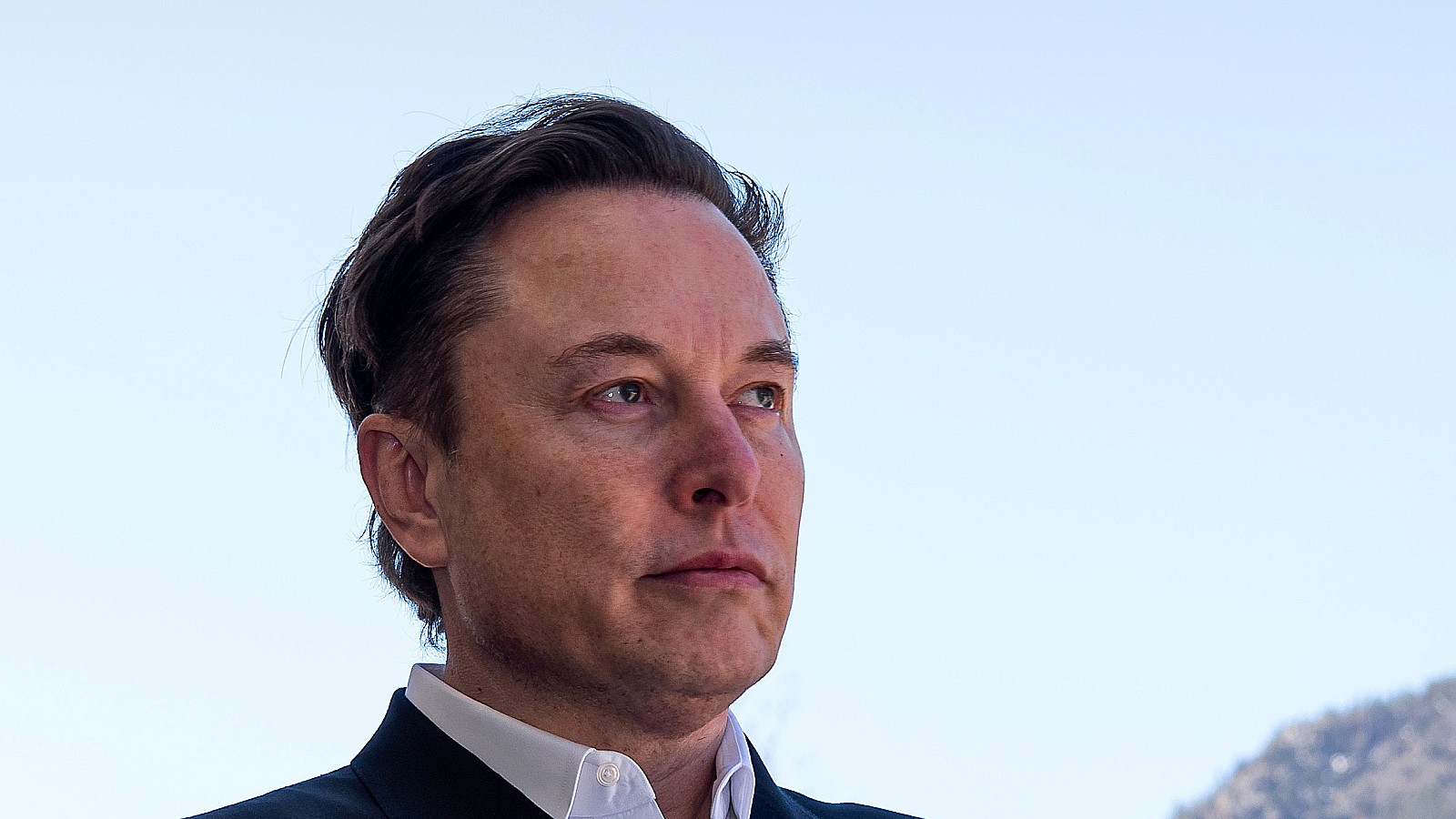 Elon Musk debe renunciar como jefe de Twitter, según su encuesta