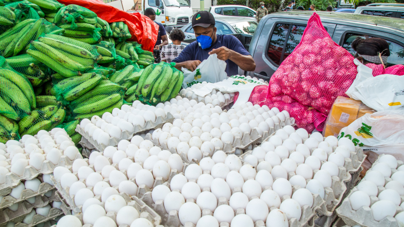 ADA garantiza abastecimiento de huevos en el país