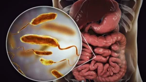 Salud Pública notifica a la población seis nuevos casos de cólera