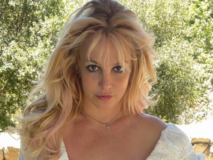 La policía va a mansión de Britney Spears tras varios llamados de sus fanáticos