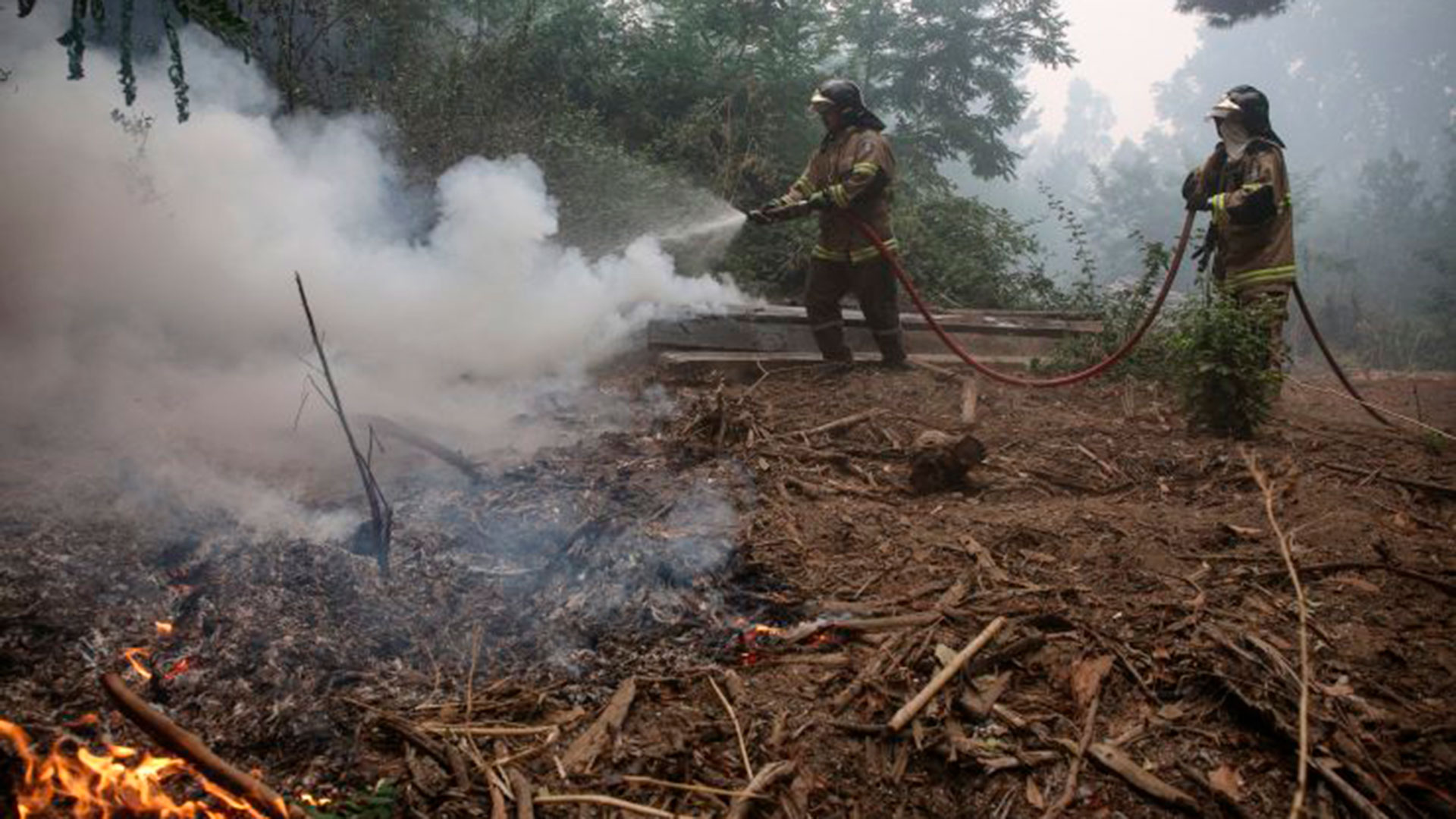 Incendios forestales en Chile sin control: 24 muertos, más de 280 focos activos y envían un “súper avión“para combatirlos