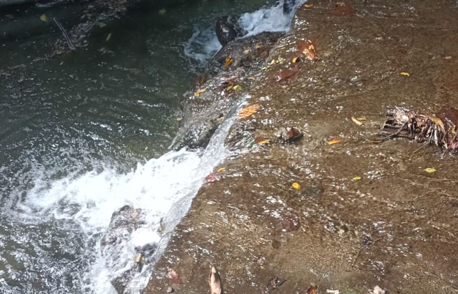Tribunal impone reparación ambiental a hombre por provocar daños en río Yavija