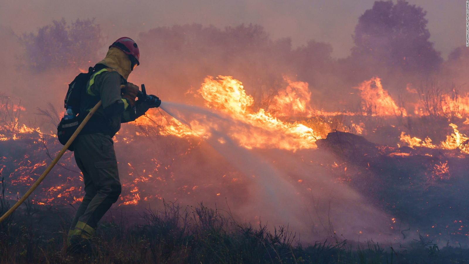 4 mil hectáreas calcinadas en España por incendios forestales