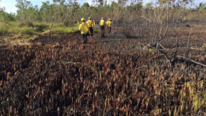 Bomberos forestales continúa atacando incendios en distintos puntos del país