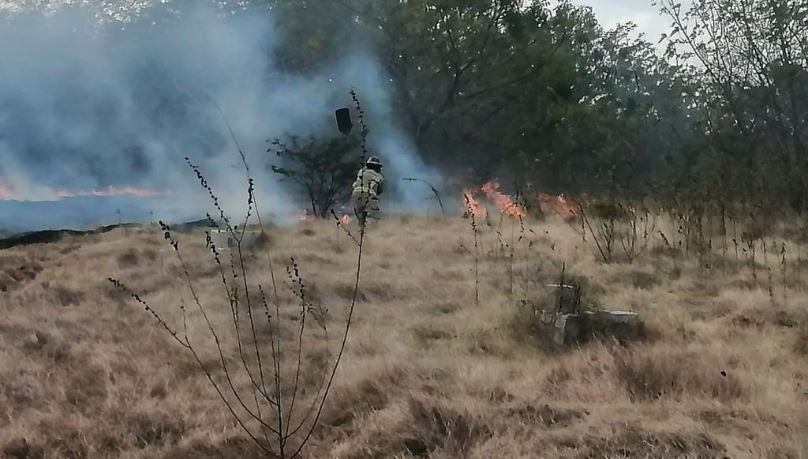 Medio Ambiente termina de liquidar incendio forestal en Valle Nuevo