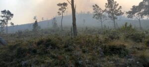 Incendio en Valle Nuevo fue provocado por un productor agrícola que quemó predio en área de amortiguamiento - CMartin