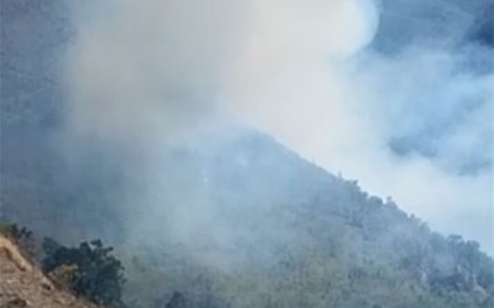 Denuncian incendio forestal en municipio Los Ríos, de Bahoruco