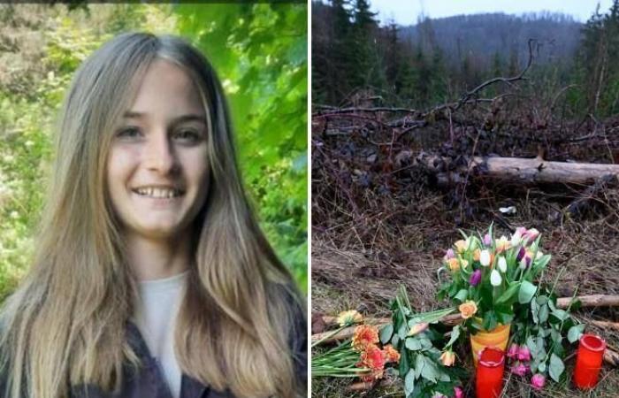 Dos niñas de 12 y 13 años mataron a una compañera de colegio de 30 puñaladas en Alemania