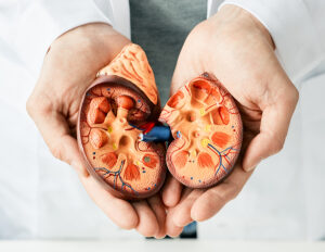 Nefróloga llama a diabéticos e hipertensos vigilar riñones

