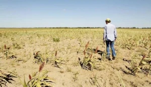 Prevén impacto de la sequía en la agricultura provoque aumentos de productos