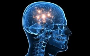 Neuróloga dice hay varios tratamientos para controlar la Epilepsia