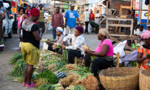 El Gobierno haitiano lanza un programa para hacer frente a la crisis alimentaria
