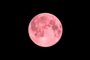 Este jueves 06 de abril se podrá observar la Luna rosa