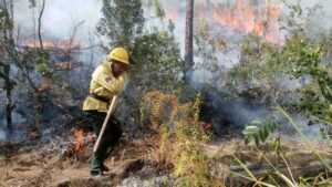 Medio Ambiente identifica responsables de crear algunos incendios en zonas del país