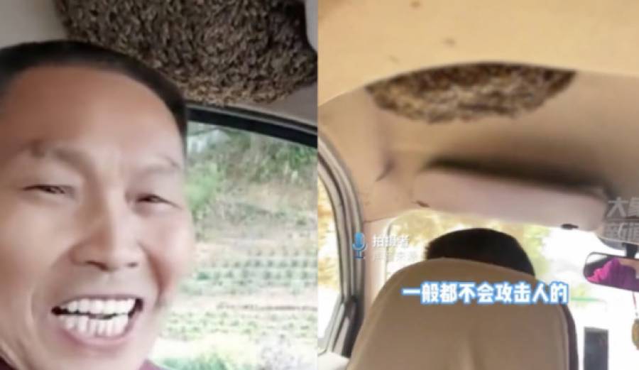 Hombre conduce con una colmena de abejas en su carro en China