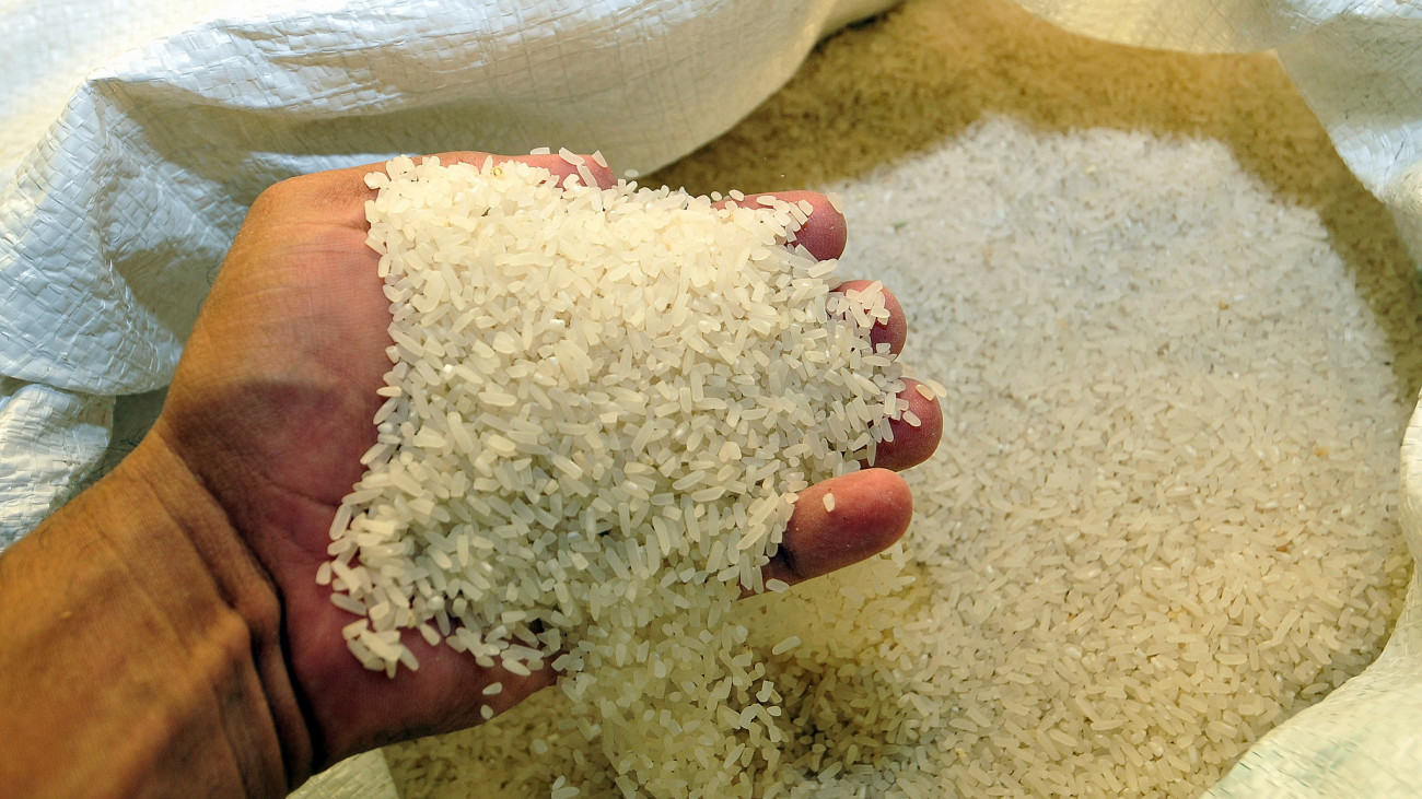 ¿Con qué se come ese "arroz index" que está en tendencia?